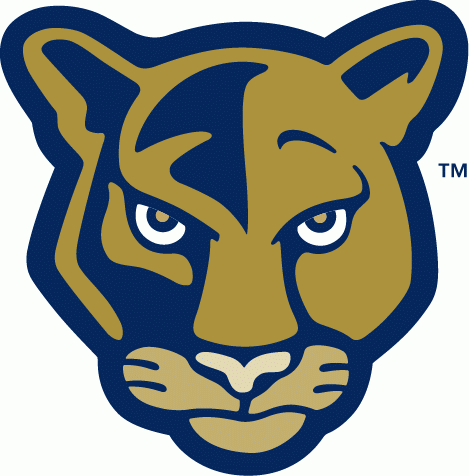 FIU Panthers 2001-2008 Alternate Logo vinyl decal